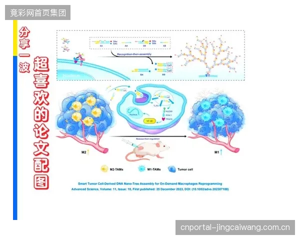《运动科学与健康研究》2025年第一期刊发论文，揭示脚踏板压力分布与运动员“出水打滑”的内在关联